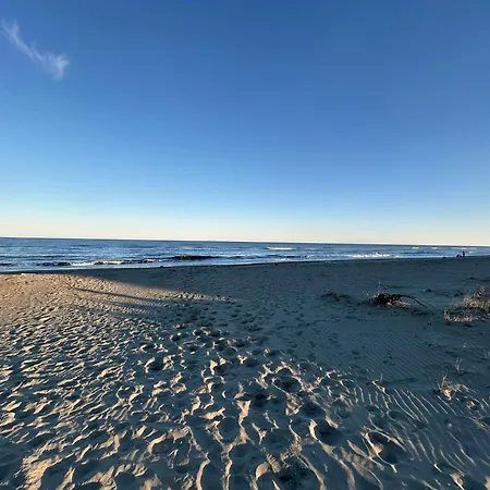 Climatise En Haute-corse 500m - Marina Di 营地 *